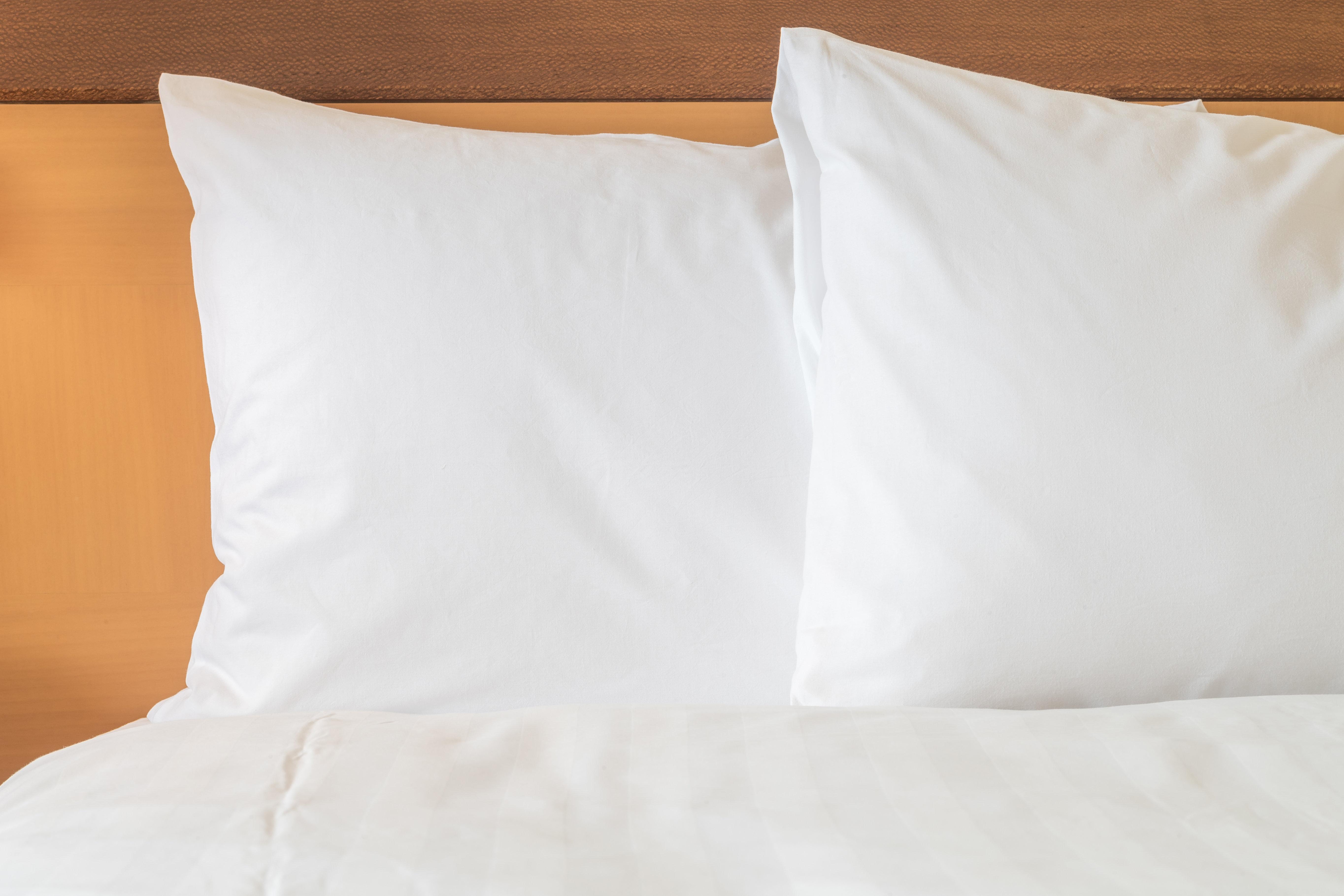 Holiday Inn Express & Suites Corpus Christi By Ihg Eksteriør billede
